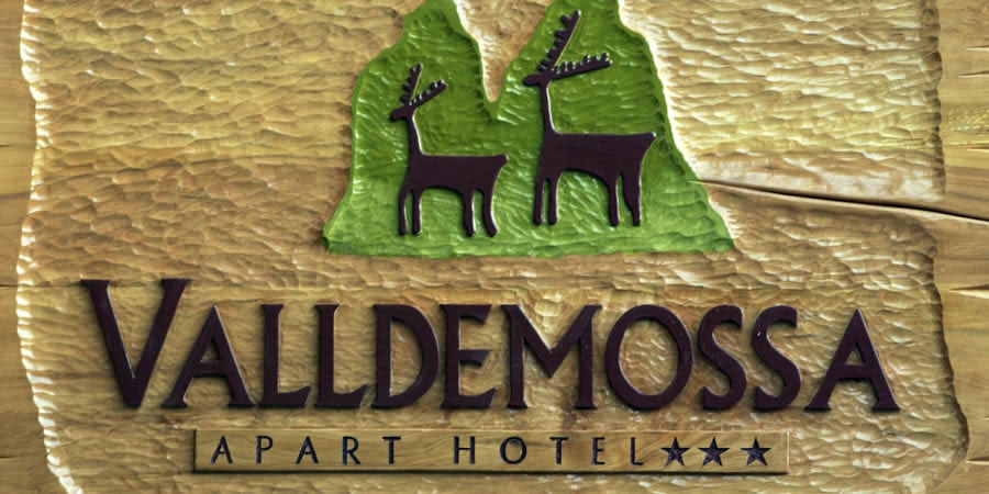 Valledemossa Apart Hotel San Martin de los Andes